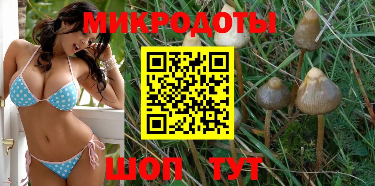 Галлюциногенные грибы мицелий Ртищево